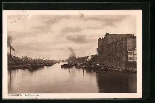 AK Mannheim, Mühlauhafen