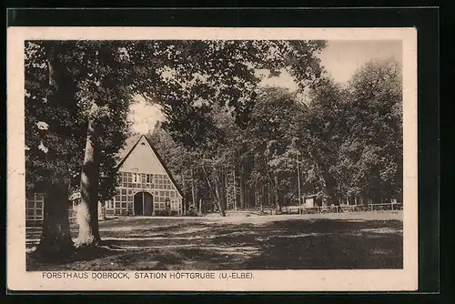 AK Höftgrube / U.-Elbe, Forsthaus Dobrock