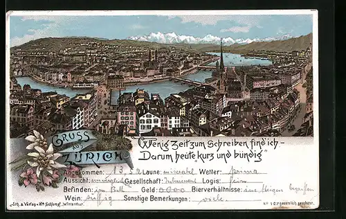 Lithographie Zürich, Ortsansicht aus der Vogelschau