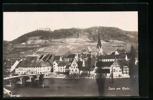 AK Stein a. Rhein, Panorama