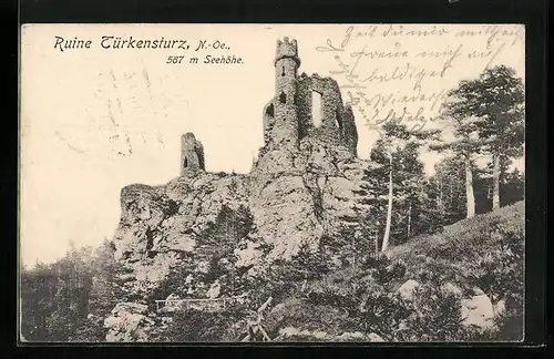 AK Ruine Türkensturz, Panorama
