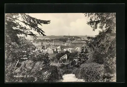 AK Mistelbach, Panorama