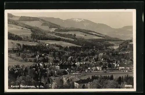 AK Reichenau, Totalansicht