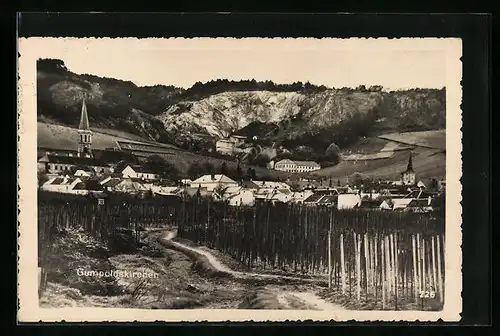 AK Gumpoldskirchen, Panorama