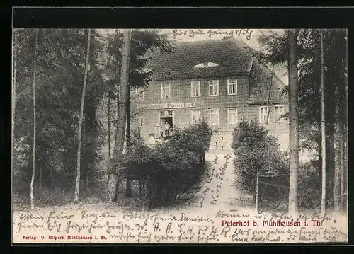 AK Mühlhausen i. Th., Gasthaus Peterhof zwischen Bäumen