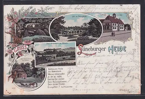 Lithographie Soltau, Rathaus, Lith bei Fallingbostel, Altes Bauernhaus bei Heber, Trockenblumen in die Karte gesteckt