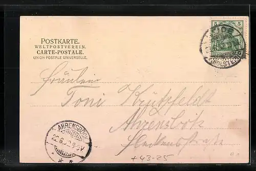 AK Heide, 16. Niedersächsisches Sänger- Bundesfest 1902, Zutphen-Denkmal
