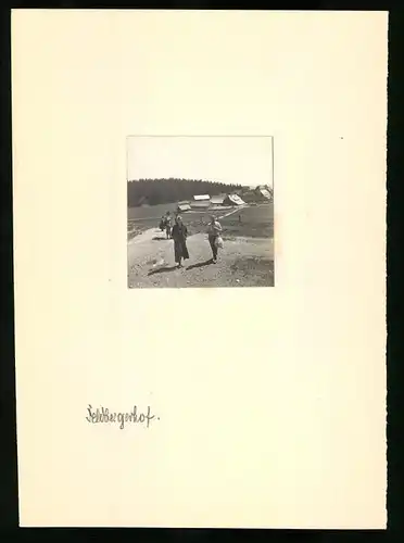 67 Fotografien Dr. phil. Joh. Rechenberg, Ansicht Titisee-Neustadt, Trachten, Schützenzug, Hochzeit, Schwarzwald