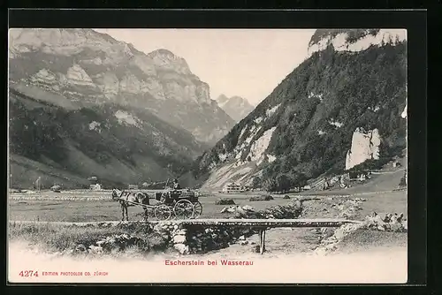 AK Escherstein bei Wasserau, Ortsansicht mit Kutsche auf Brücke