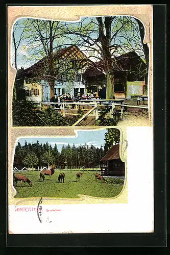 AK Winterthur, Partie am Bruderhaus, Hirsch