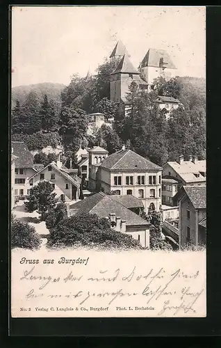 AK Burgdorf, Blick über die Dächer auf die Burg