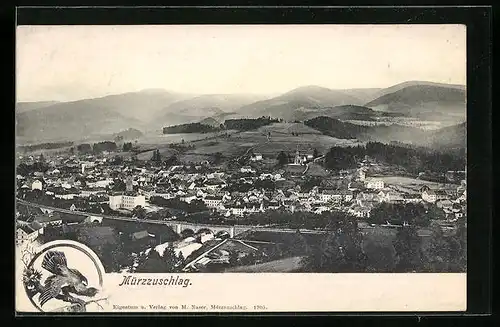 AK Mürzzuschlag, Totalansicht