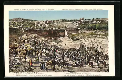AK Jerusalem, Marché de hétail à l'étang du Sultan