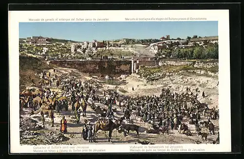 AK Jerusalem, Marché de hétail à l'étang du Sultan