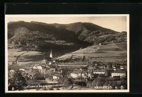 AK Hainfeld, Ortsansicht mit Bergpanorama