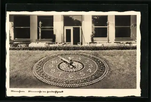 AK Mannheim, Blumenuhr im Friedrichspark