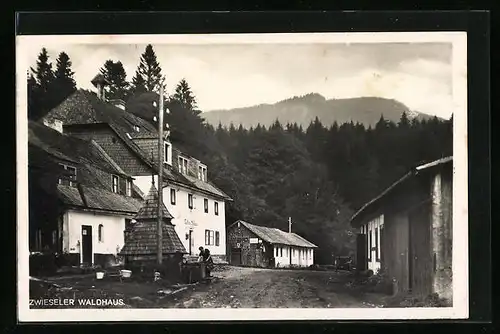 AK Zwiesel, am Gasthaus Waldhaus