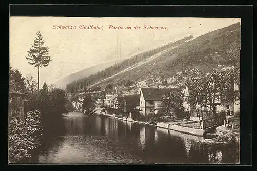 AK Schwarza, Ortspartie am Fluss