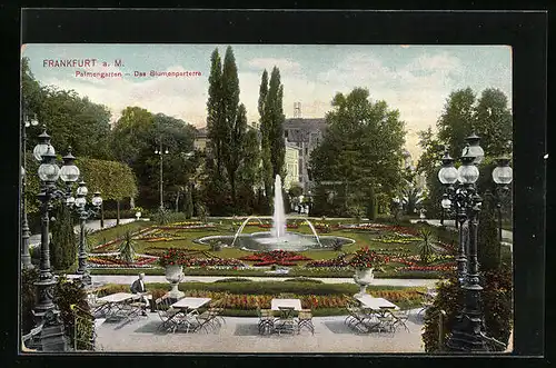 AK Frankfurt-Westend, Palmengarten mit Blumentalparterre