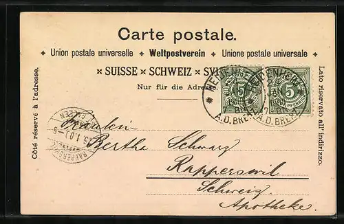 Lithographie Appenzell, Gesamtansicht der Ortschaft, Seealpsee