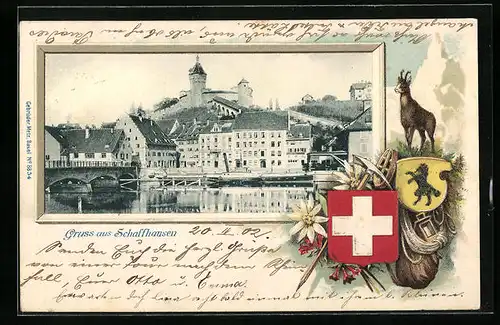 Passepartout-Lithographie Schaffhausen, Ortsansicht vom Rhein aus, Wappen und Gämse