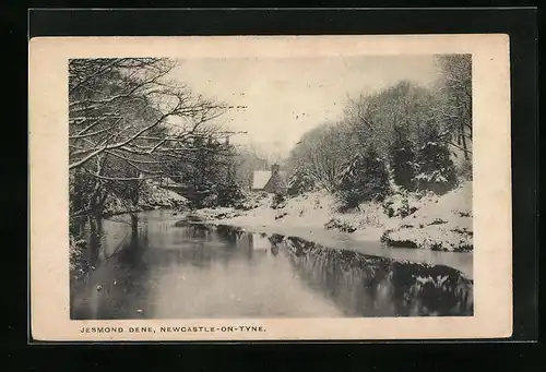 AK Newcastle-on-Tyne, Jesmond Dene