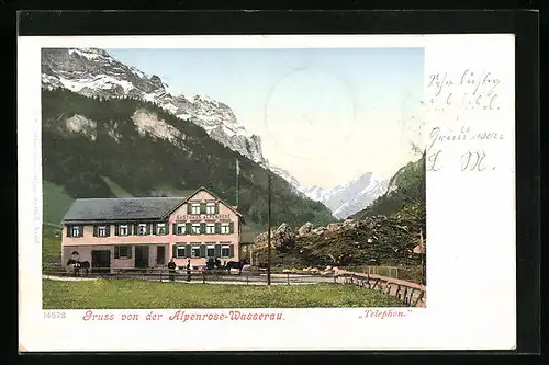 AK Wasserau, Gasthaus Alpenrose