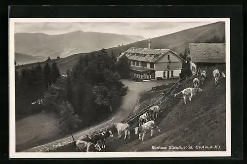 AK Ottenleuebad, Kurhaus Ottenleuebad mit Kühen