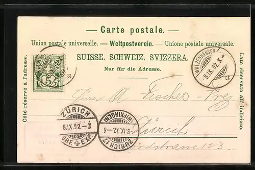 Lithographie Meldegg, Gasthaus zur Meldegg, Panorama gegen Süden mit Scesa Plana, Alvier u. Altmann