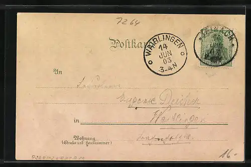 Lithographie Teinach, Totalansicht mit Badhotel