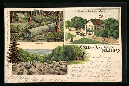 Lithographie Felsberg, Restaurant Forsthaus und Felsenmeer