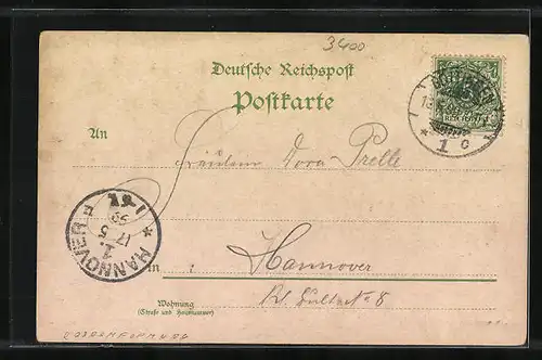 Lithographie Göttingen, Totalansicht mit Weender-Strasse