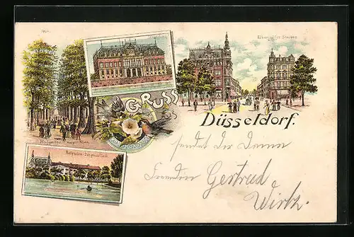 Lithographie Düsseldorf, Ständehaus, Hofgarten Der grosse Teich, Elberfelder Strasse