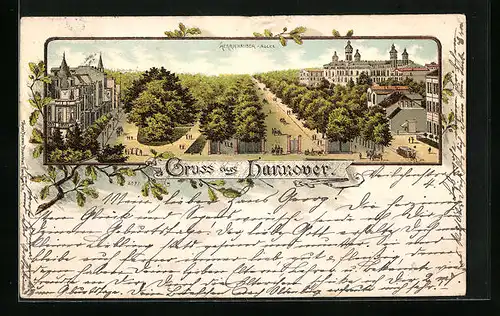 Lithographie Hannover, Herrnhauser-Allee mit Bäumen