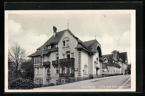 AK Bad Elster, Albertpark, Villa und Sanatorium