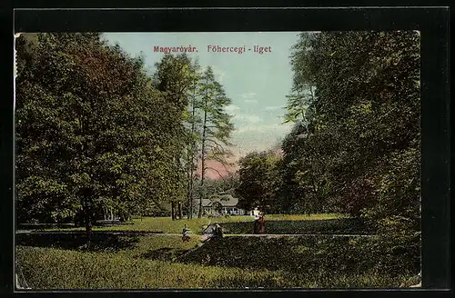 AK Magyarovar, Föhercegi-liget