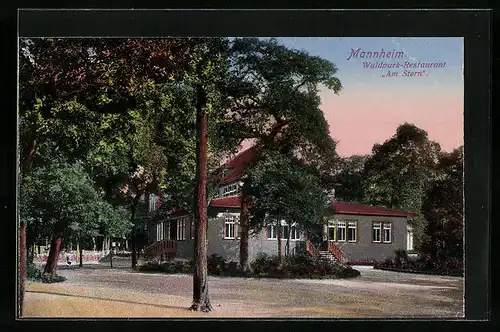 AK Mannheim, Waldpark-Restaurant Am Stern