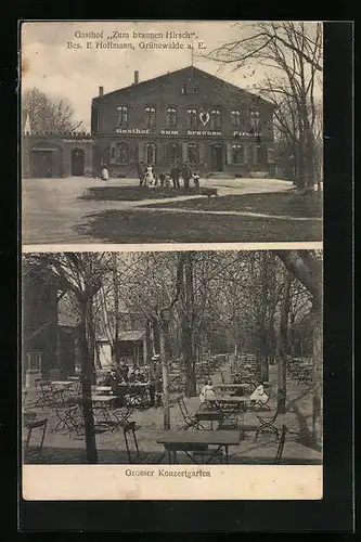 AK Grünewalde a. E., Gasthof zum braunen Hirsch mit Konzertgarten