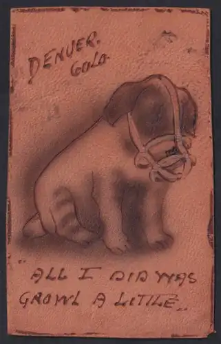 Leder-AK Denver Gold, Trauriger Hund mit Maulkorb