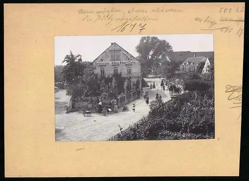 Fotografie Brück & Sohn Meissen, Ansicht Diera, Partie am Restaurant zur König Albert Eiche