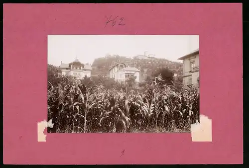 Fotografie Brück & Sohn Meissen, Ansicht Niederlössnitz, Blick auf die Villa Augusta und zur Friedensburg