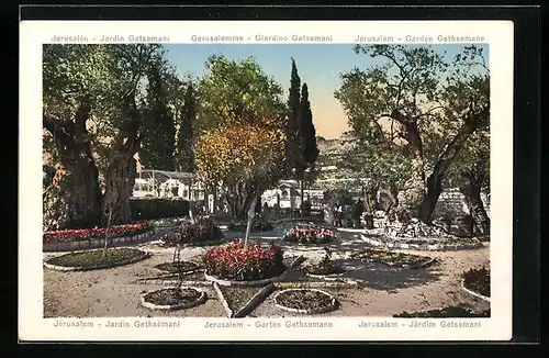 AK Jerusalem, Garten Gethsemane
