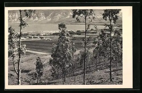 AK Kibbutz Kinereth, Panorama