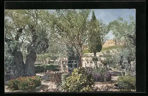 AK Gethsemane, Panorama
