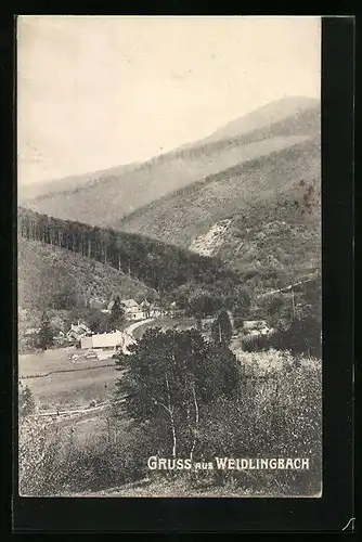 AK Weidlingbach, Panorama