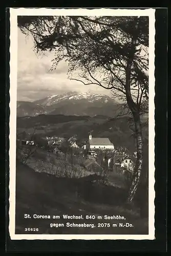 AK St. Corona am Wechsel, Ortspartie gegen Schneeberg mit Baum