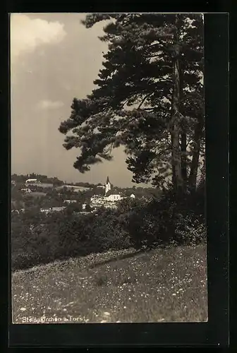 AK Steinakirchen am Forst, Ortspartie mit Kirche und Bäumen
