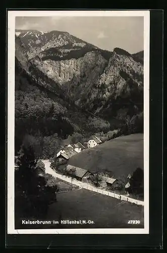 AK Kaiserbrunn im Höllental, Teilansicht mit Strassenpartie
