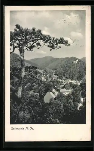 AK Gutenstein, Teilansicht mit Baum