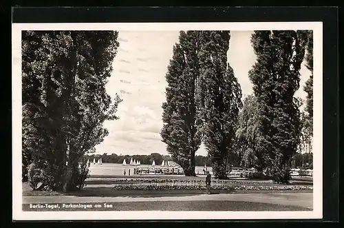 AK Berlin-Tegel, Uferpartie mit Segelbooten, Parkanlagen am See